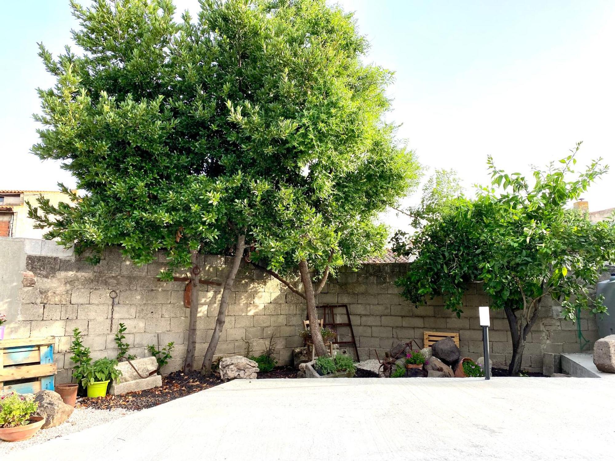 Casa Meli Apartment San Vero Milis Ngoại thất bức ảnh